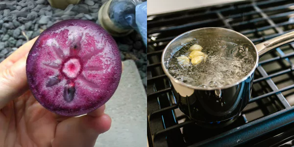 what is purple peel exploit